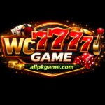 WC777 Game Logo
