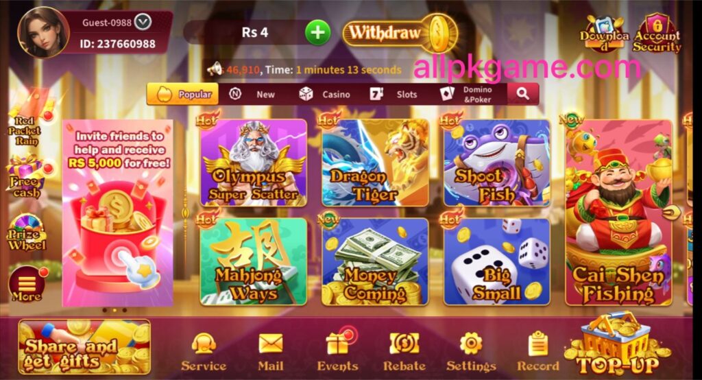 PAK75 Game interface screenshot