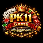 PK11 Game Logo