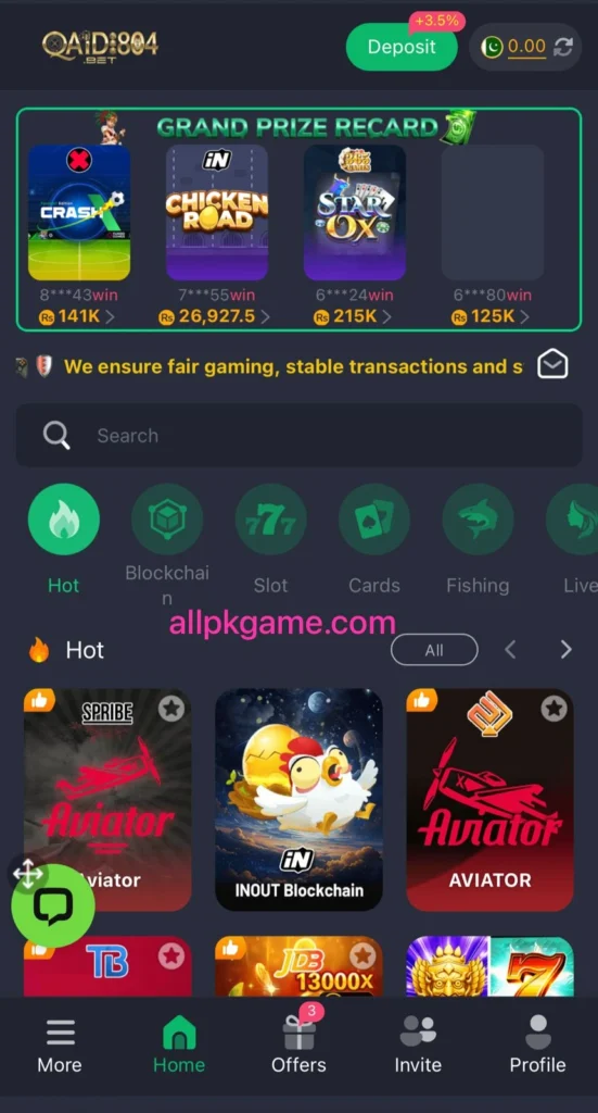 Qaidi804 Bet Game Interface Screenshot