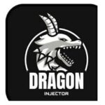 Dragon Injector